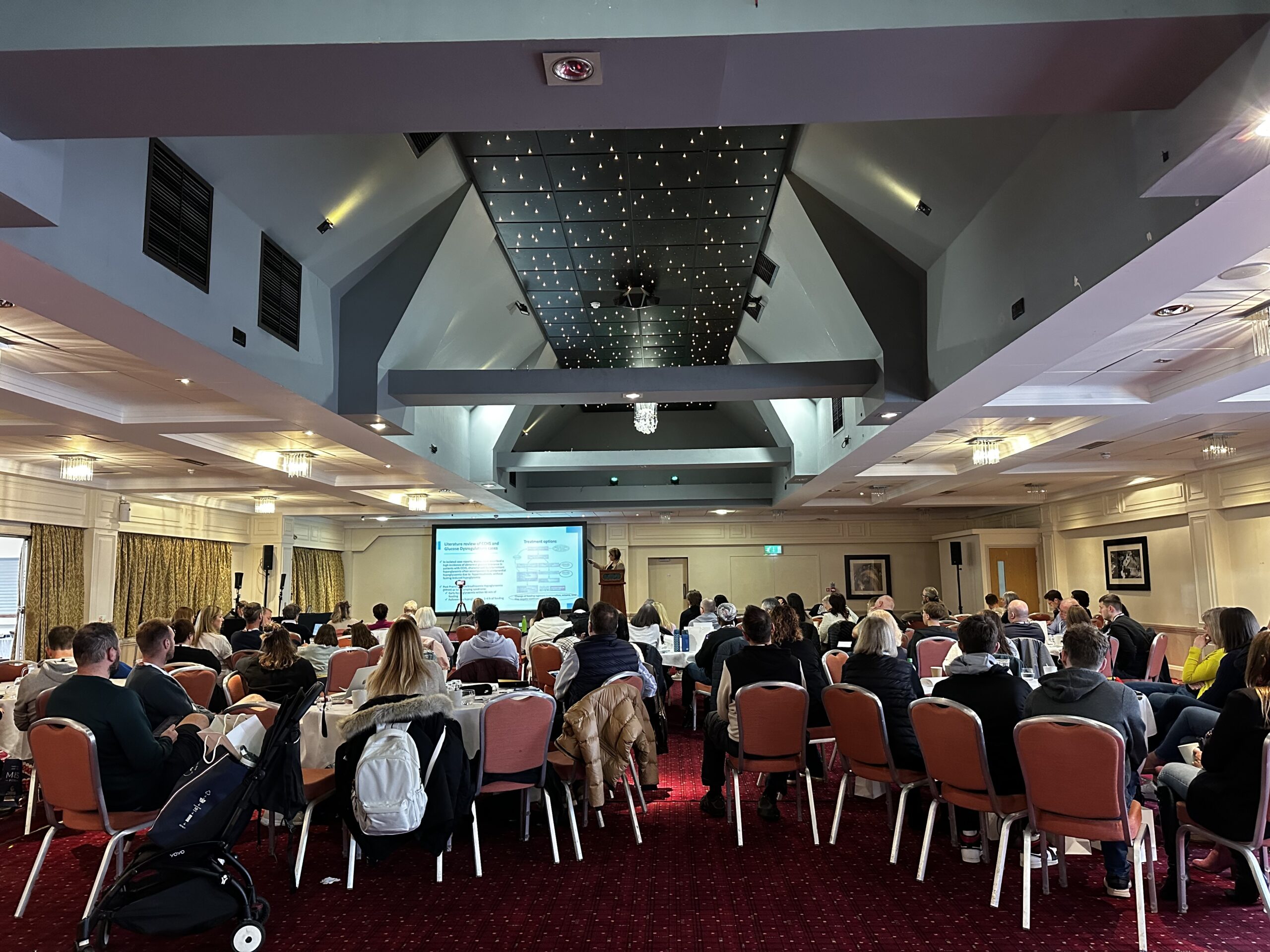 CCHS UK Conference 2024